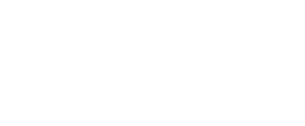 logo-cheapskate-white